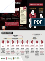 Loreto - Infografía: Procedimiento de Alerta Temprana (PAT)