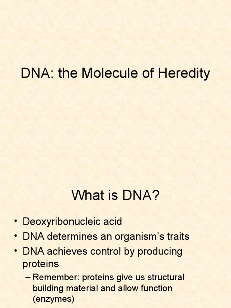 Understanding DNA: Structure and Function | PDF | Dna | Translation ...