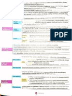 Esquema Renacimiento