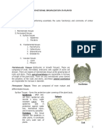 GS BIO 206. Functional Organization in Plants