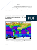 Ciclo Del Azufre 2022