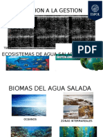 Ecosistemas Agua Salada