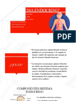 Sistema Endocrino (Hormonal)