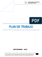 Plan de Trabajo-Vichayal