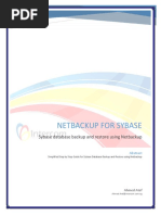 Netbackup For Sybase