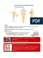 TEMA 3 Anatomia Funcional Cafyd