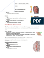 Tema 5 Anatomia Funcional Cafyd