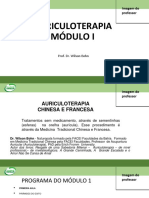 Slide Auriculoterapia I