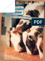 Usode Amilasa Petfood 2004