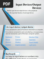 78-Identify Input and Output Devices