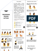 Folleto Pausas Activas