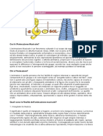 Didattica Musicale e Metodi Didattici