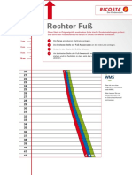 RICOSTA WMS Fussmessung