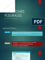 Sindromes Pleurales