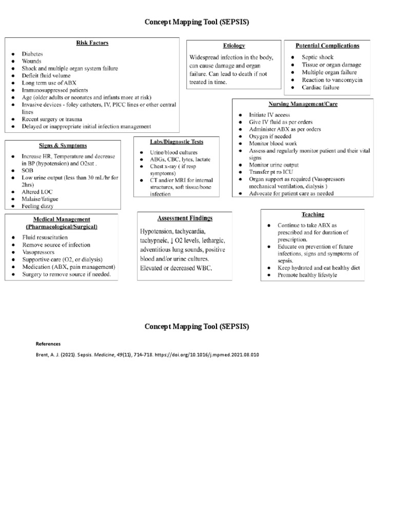 Worksheet Concept Mapping Template 2nd Option PDF