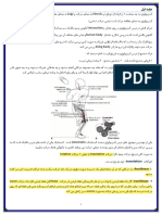 کینزیولوژی جلسه اول