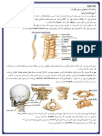 کینزیولوژی جلسه چهارم