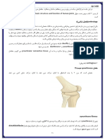 کینزیولوژی جلسه دوم