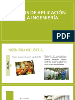 03 Campos de Aplicación de La Ingeniería