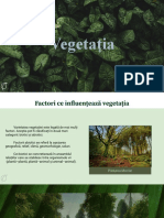 Vegetatia. Proiect Geografie
