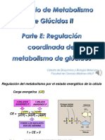Regulación coordinada glucosa