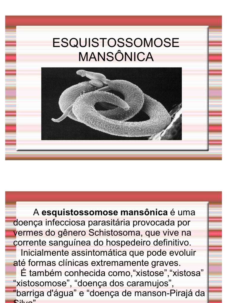 Cite Dois Modos De Prevenção Da Esquistossomose
