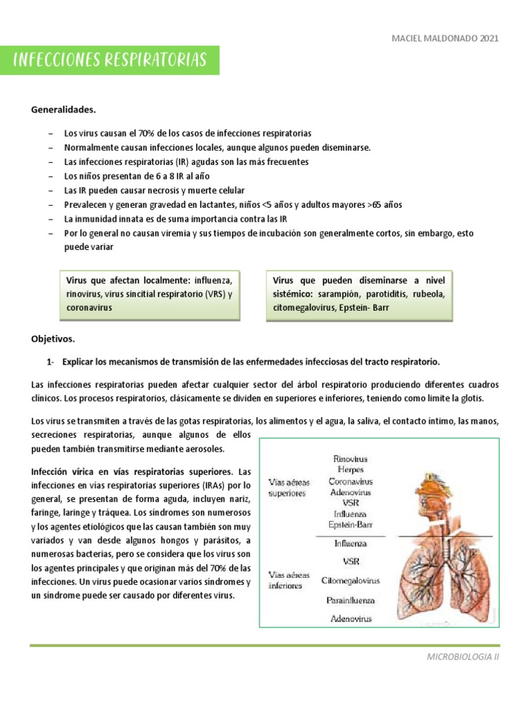 Virus Comunes en Infecciones Respiratorias | PDF | Influenza | Adenoviridae