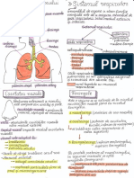 Sistemul Respirator PDF