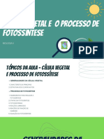 Célula Vegetal e o Processo de Fotossíntese + Poluição Da Água e Suas Consequências