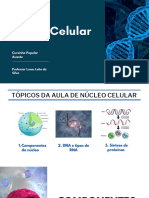 Núcleo Celular e Pirâmides Ecológicas