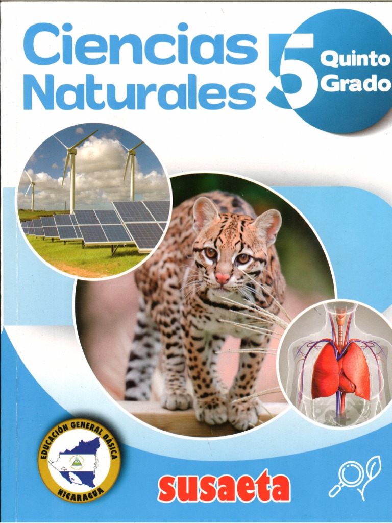Ciencias Naturales Susaeta PDF