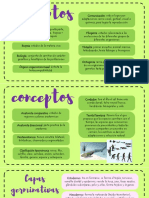 Anatomia Comparativa (Parcial 1)