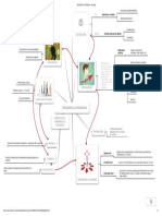 DESARROLLO PERSONAL - Mind Map