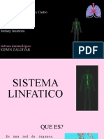 El Sistema Linfatico