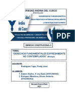 Derechos Fundamentales Expresamente No Contemplados