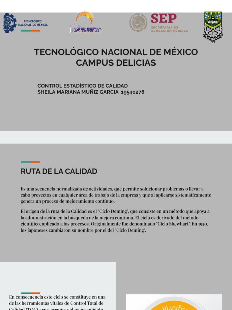 7 Pasos para la Ruta de la Calidad | PDF | Informática