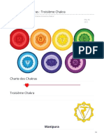 terrenouvelle.ca-Chartes%20des%20Chakras%20Troisième%20Chakra