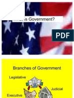 What is Government