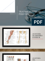 Trauma Vascular Periférico