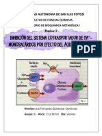 Pre 5 BQM I