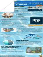 Infografía Sobre La Contaminación Del Agua