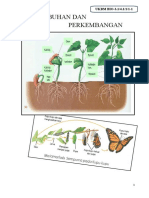 Ukbm 3.1 Pertumb Dan Perkemb, Jadi