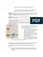 Principales mecanismos de interacción farmacológica con receptores