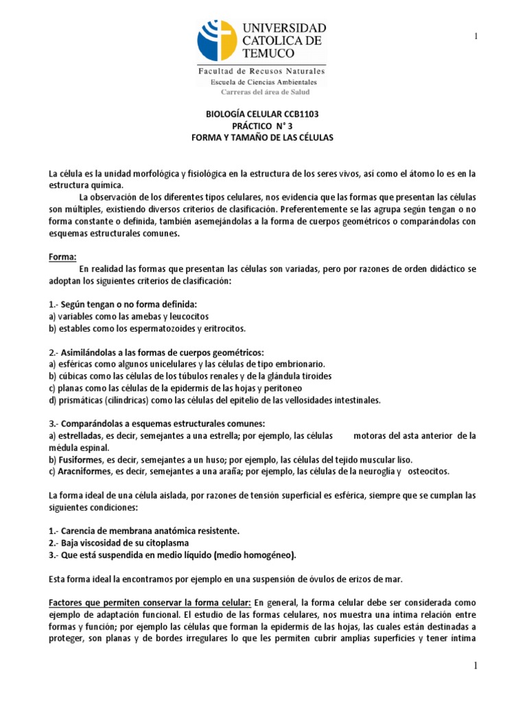 Forma y Tamaño de las Células | PDF | Biología Celular) | Tinción
