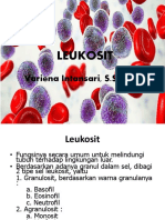 Pertemuan 3. Leukosit