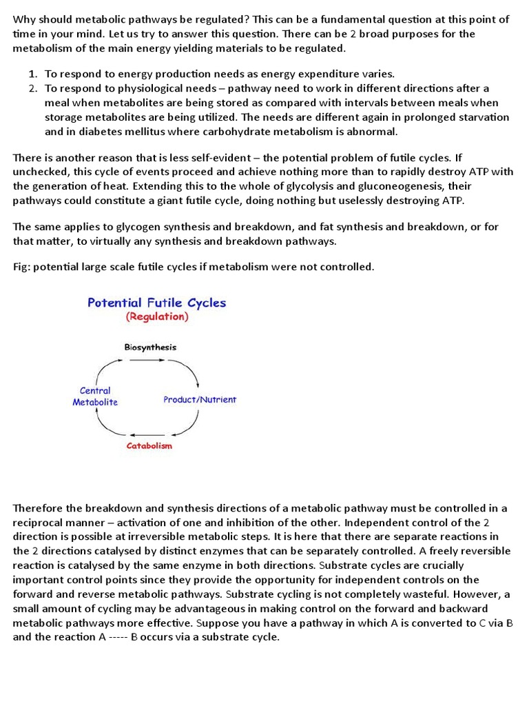 Regulation of Metabolic Pathways | PDF | Enzyme | Metabolic Pathway