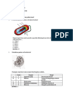 1 Soal Tipe A Biologi XI Ganjil 2022-2023