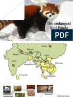 Why Red Pandas Are Endangered - Habitat Loss, Poaching, and Conservation Efforts
