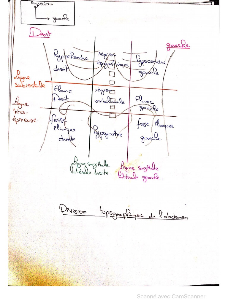Schémas | PDF