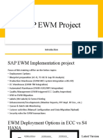 PPT01 - EWM Project Introduction